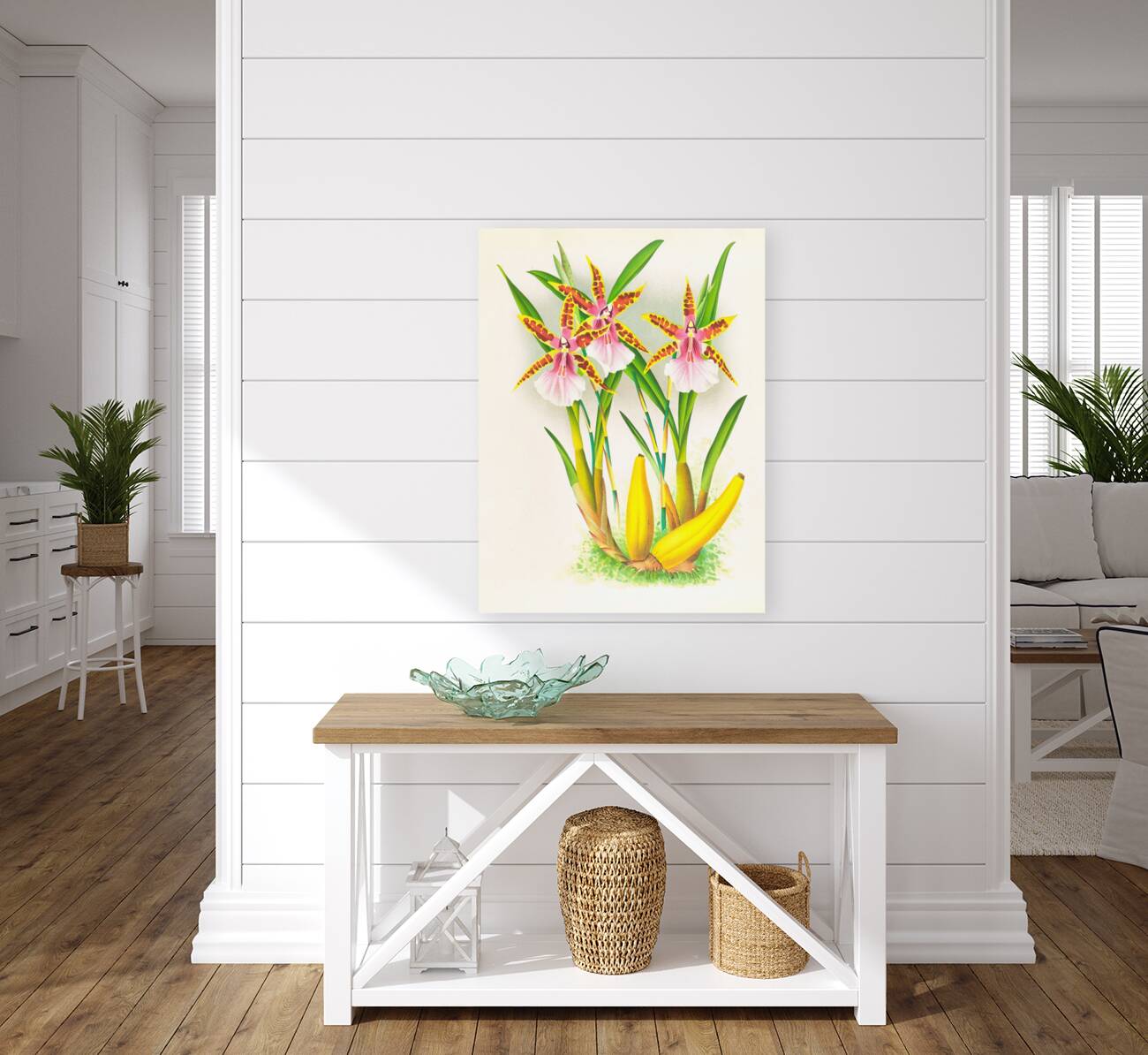 Miltonia blunti Reproduction