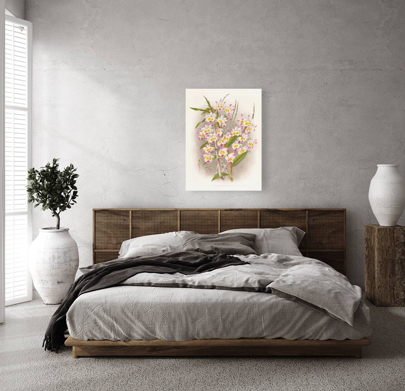 Dendrobium devonianum  Reproduction