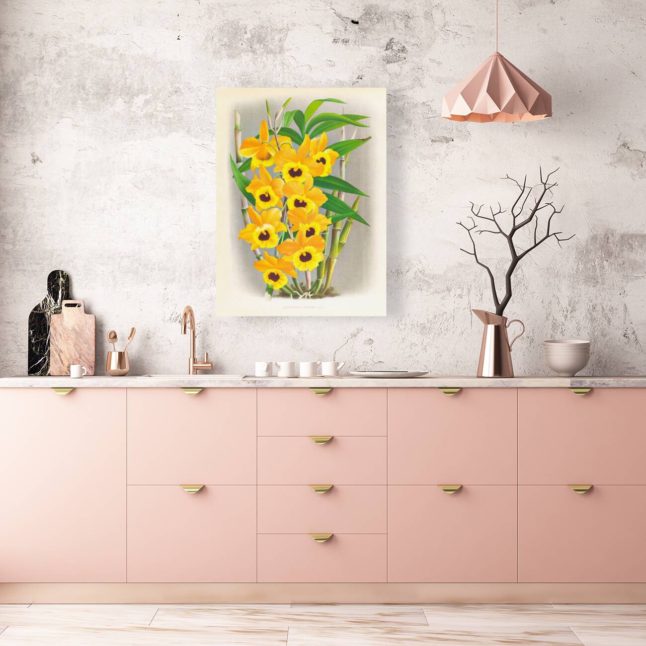 Dendrobium paxtoni Reproduction