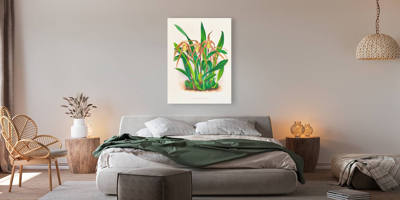 Maxillaria longisepala Reproduction