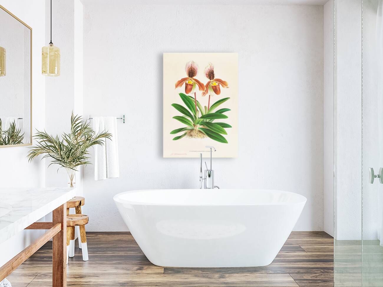 Cypripedium oenanthum superbum Reproduction