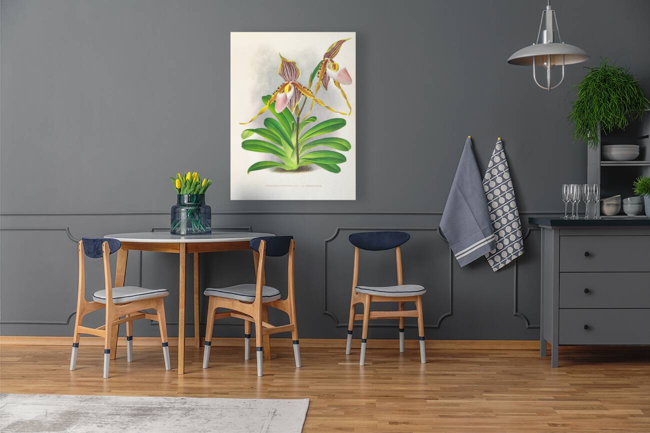 Cypripedium praestans var kimballianum Reproduction