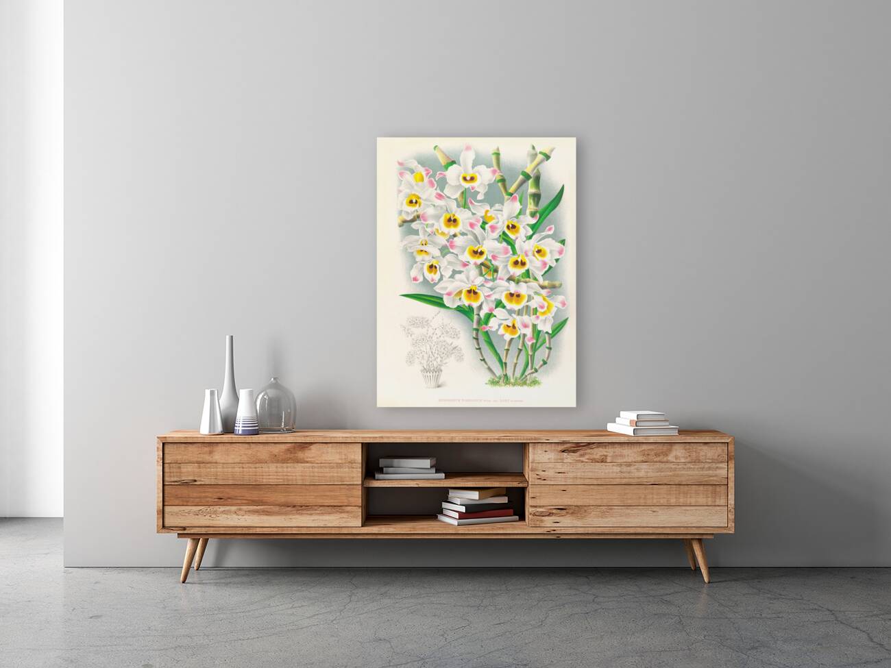 Dendrobium wardianum Reproduction