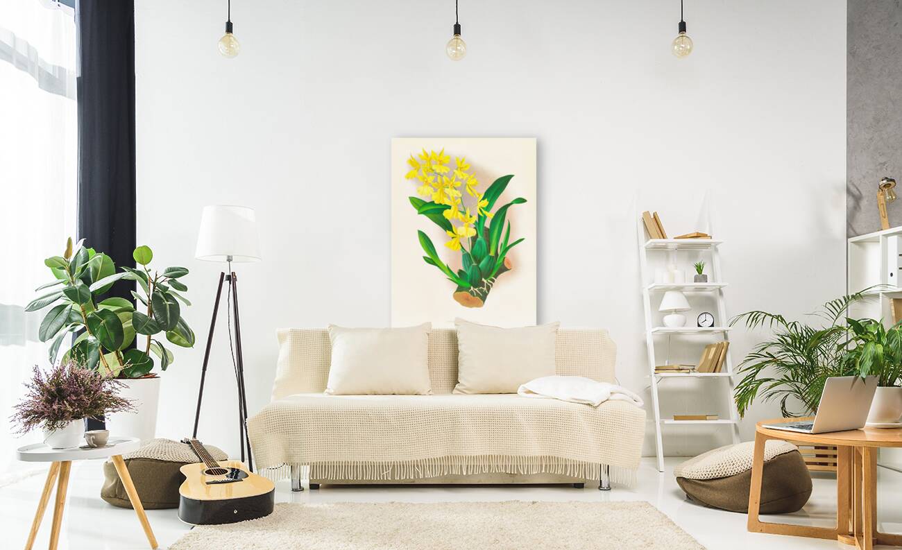 Oncidium concolor Reproduction