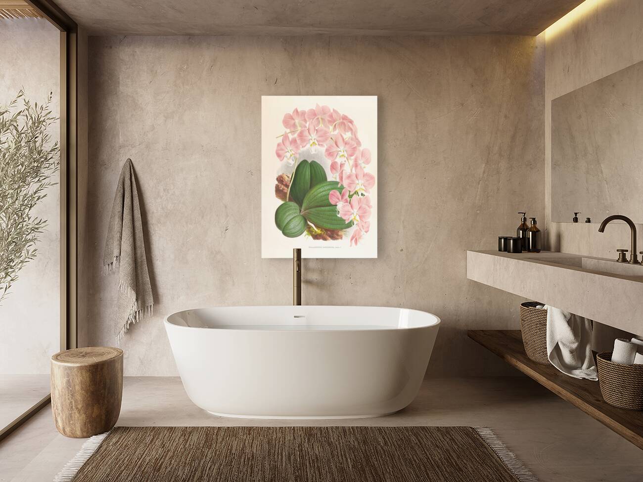 Phalaenopsis sanderiana Reproduction