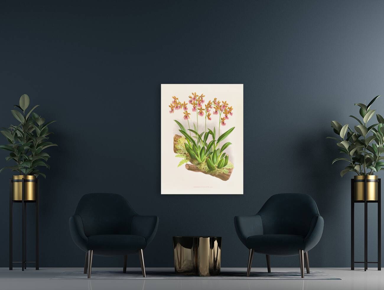 Oncidium cucullatum Reproduction