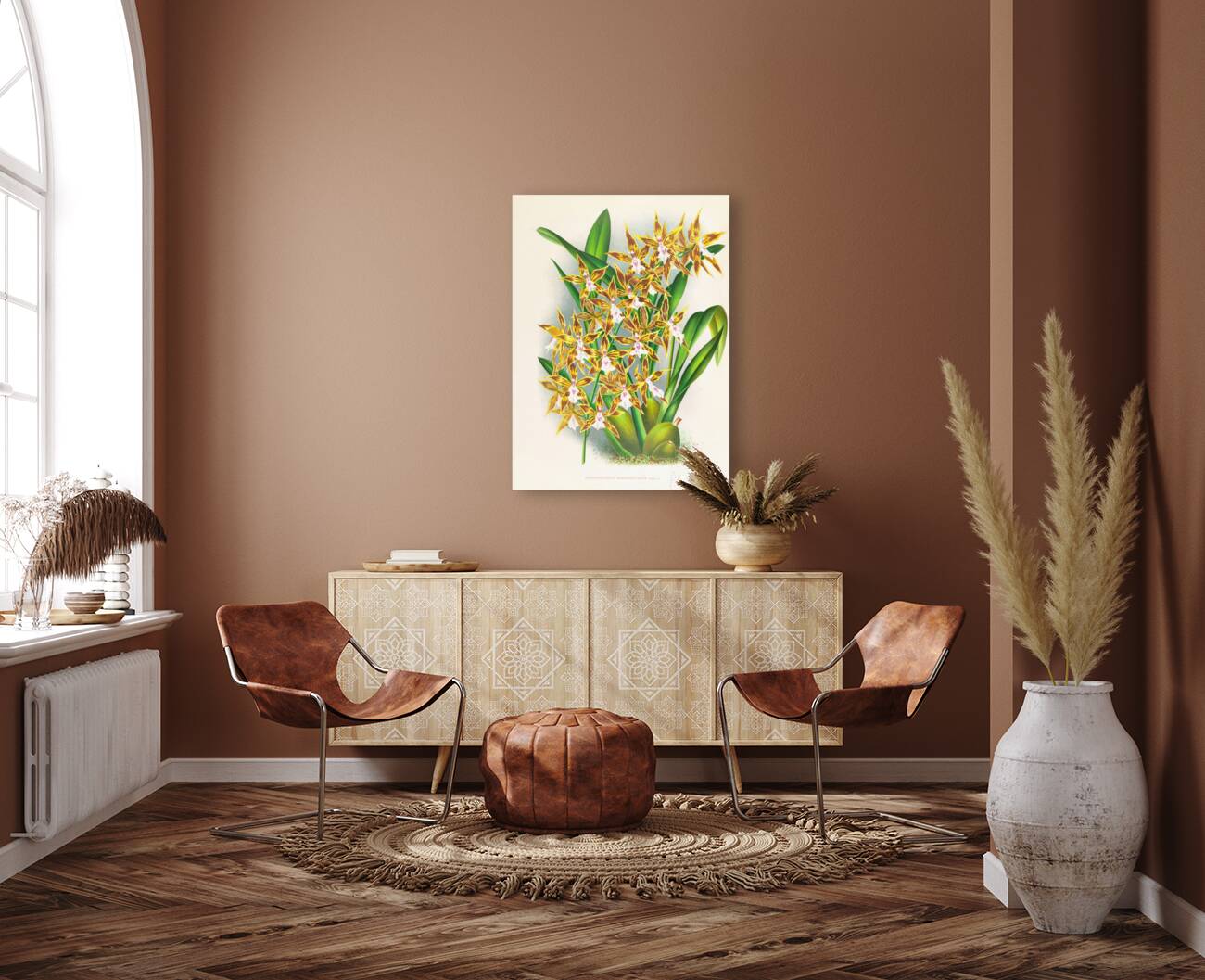 Odontoglossum boddaertianum Reproduction