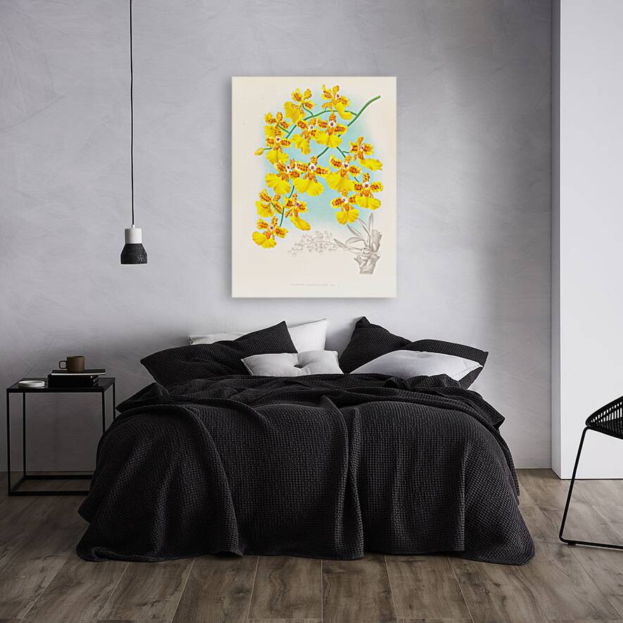 Oncidium marshallianum Reproduction