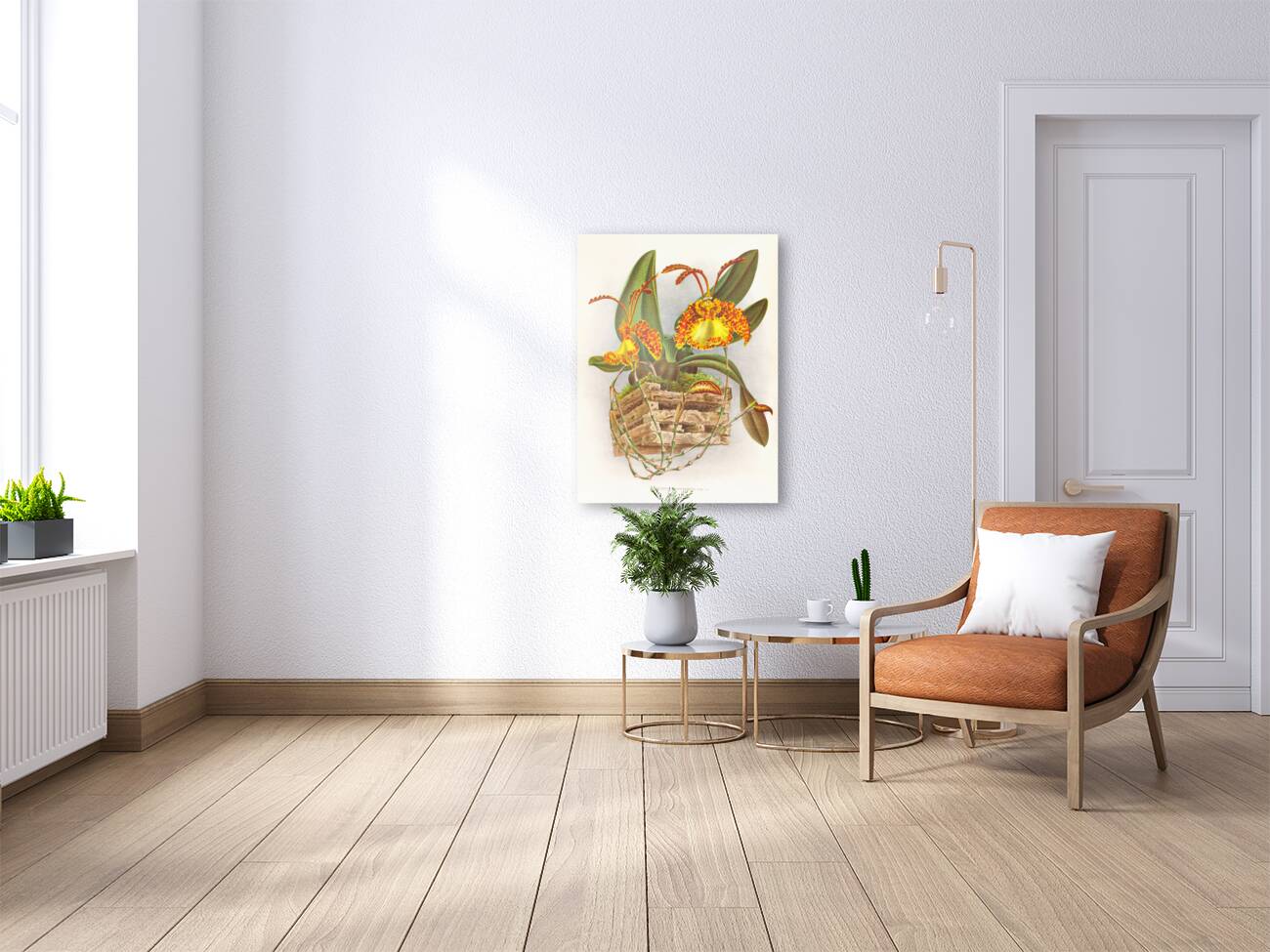 Oncidium kramerianum Reproduction