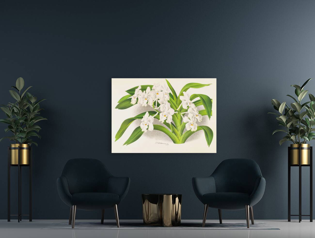 Vanda denisoniana Reproduction