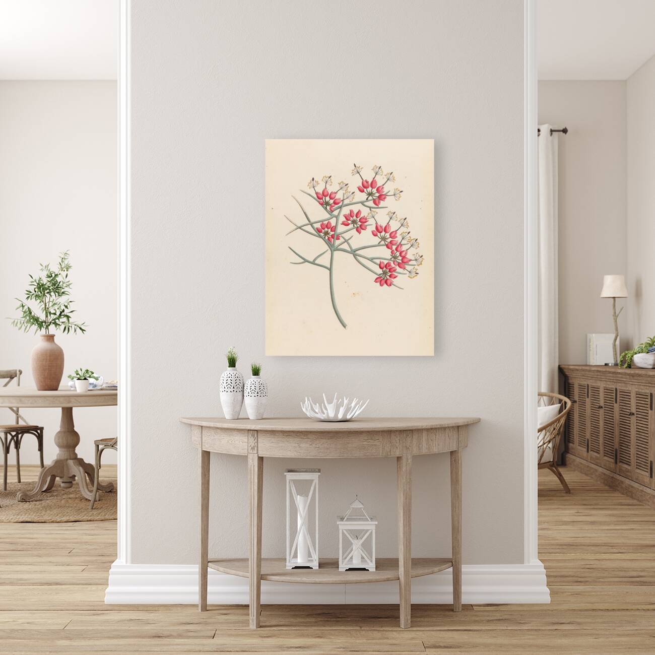 Cleome juncea. [Cadaba aphylla] 1817 Reproduction