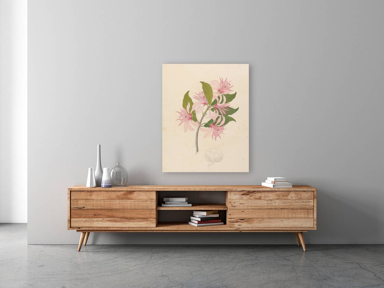 Calodendrum capense 1817 Reproduction