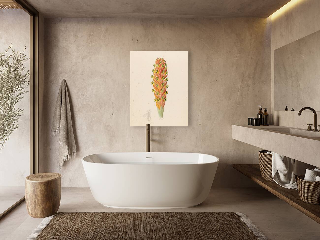 Didinamia angiosperma [Harveya hyobanchoides] 1817 Reproduction