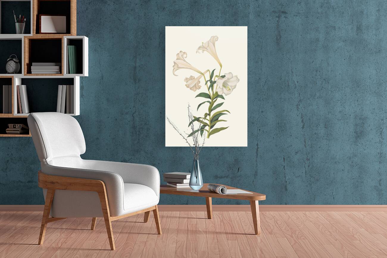 Lilium Longiflorum. 1834 Reproduction