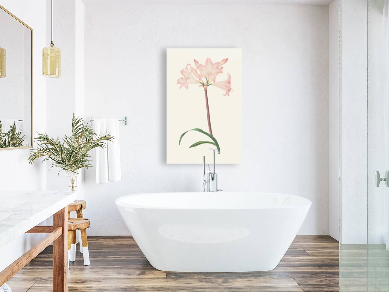 Amaryllis Belladonna 1834 Reproduction