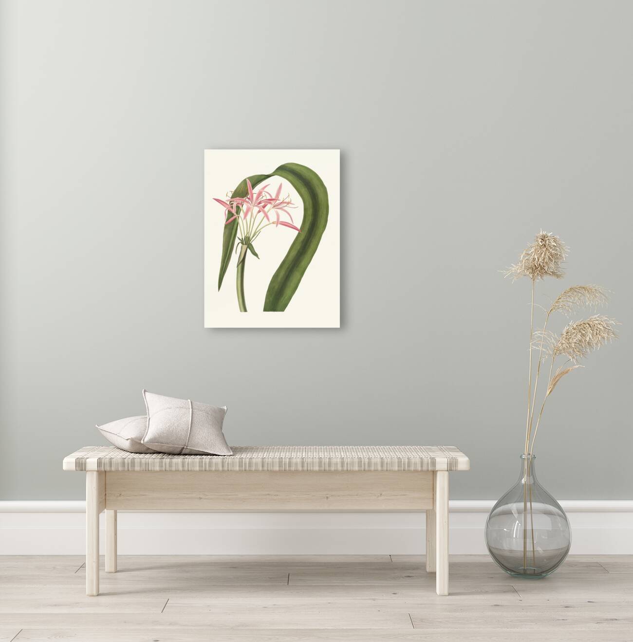 Crinum Cruentum 1834 Reproduction