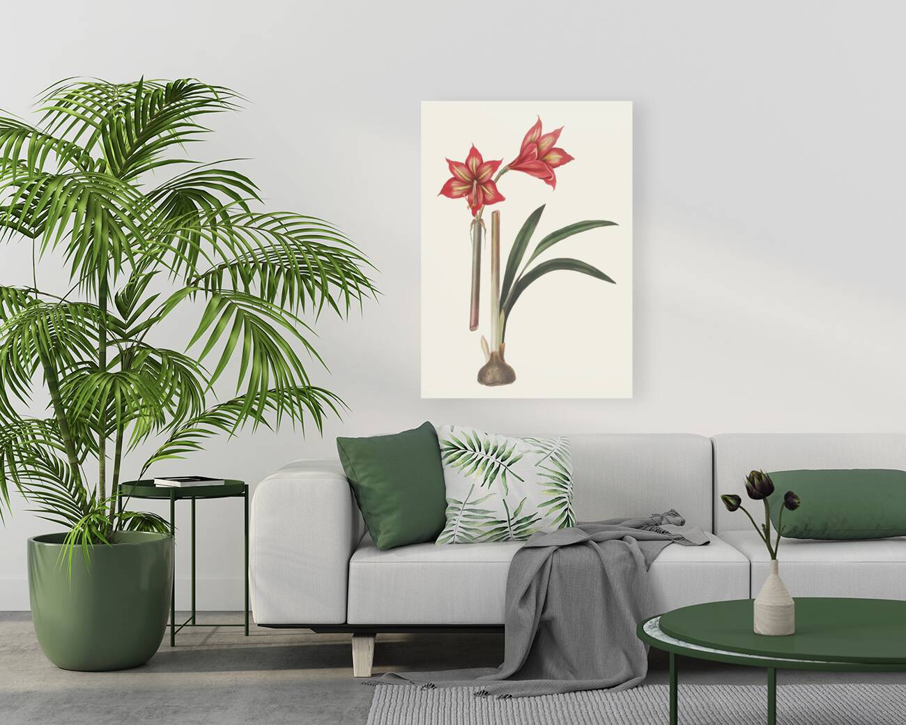 Amaryllis Correiensis. 1834 Reproduction