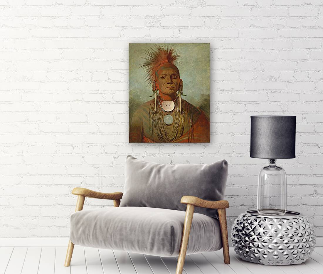 See-non-ty-a an Iowa Medicine Man 1844-1845 Reproduction