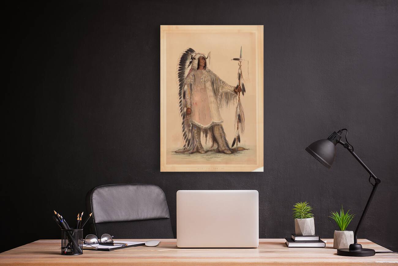 Mah-To-Toh-Pa The Mandan Chief Reproduction