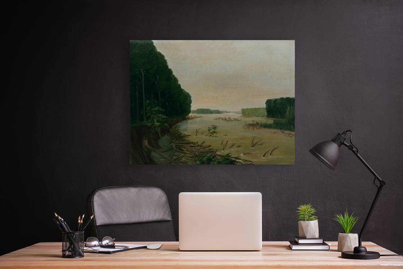 View On The Missouri Alluvial Banks Falling In 600 Miles Above St. Louis 1832 Reproduction