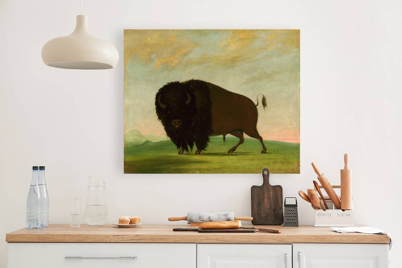 Buffalo Bull Grazing on the Prairie 1832-1833 Reproduction