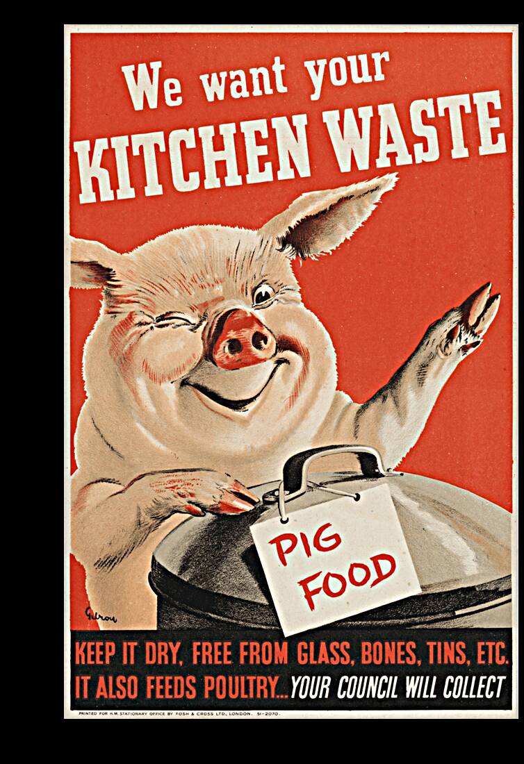 We Want Your Kitchen Waste Reproduction