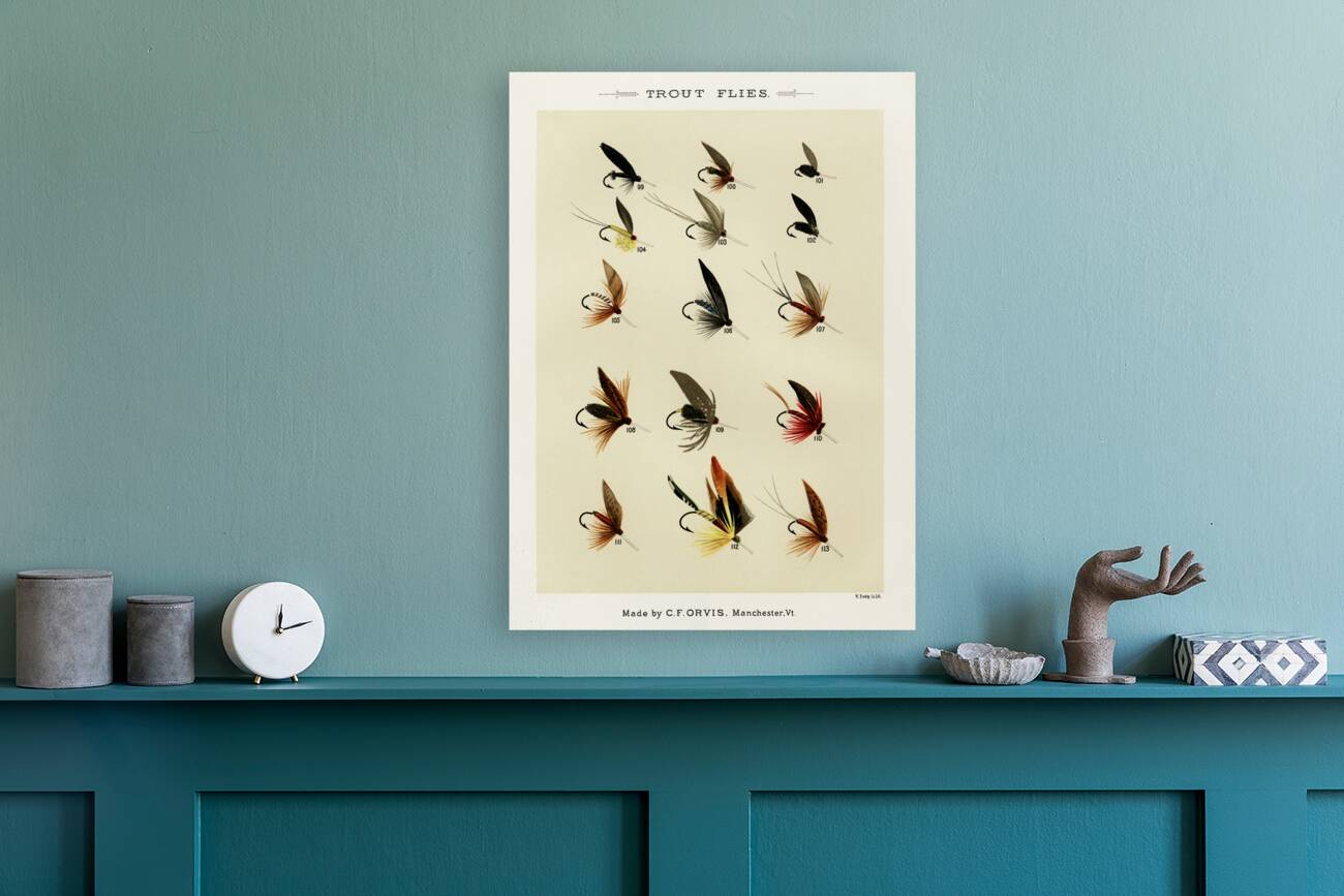 Trout Flies  Reproduction