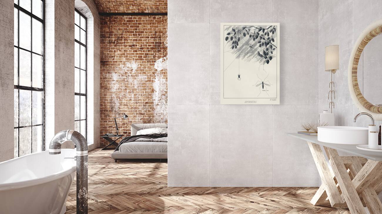 Lake Flies  Reproduction