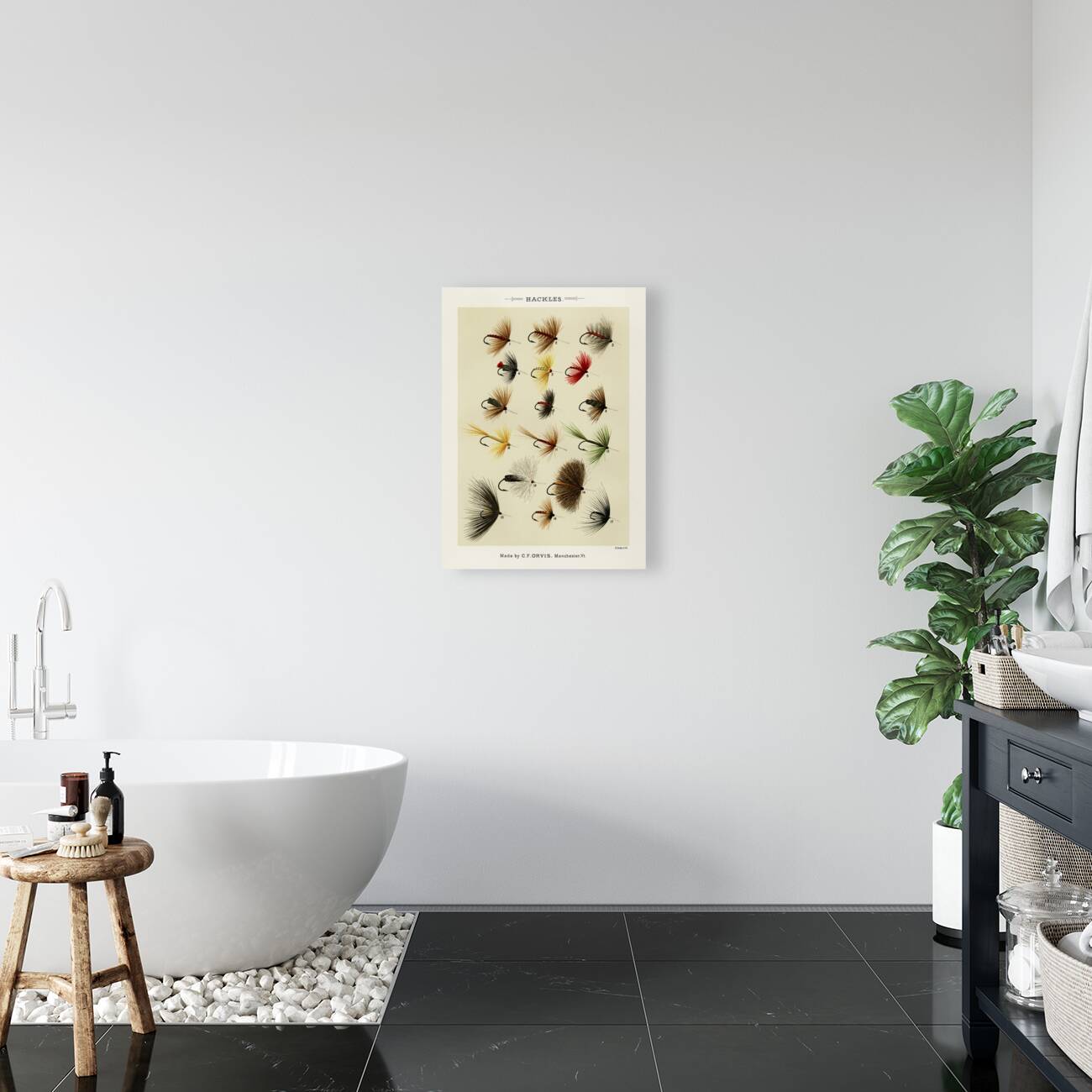 Hackles  Reproduction