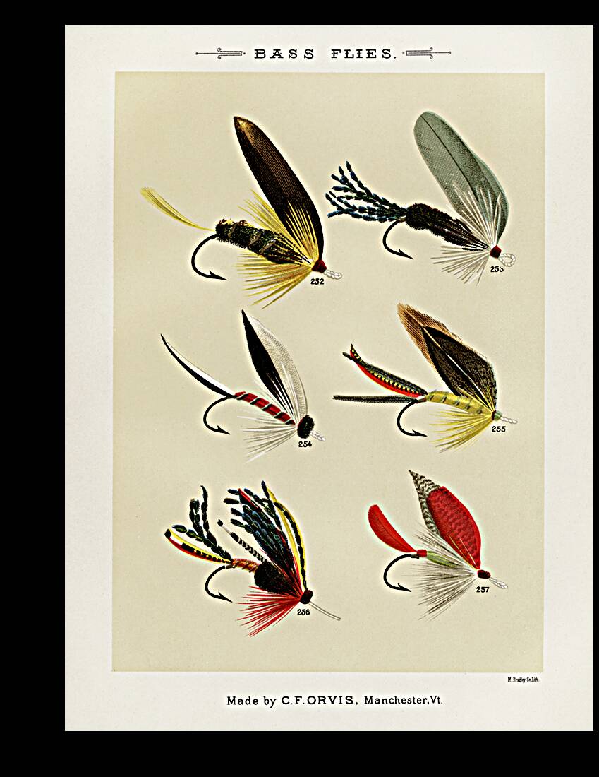 Bass Flies  Reproduction