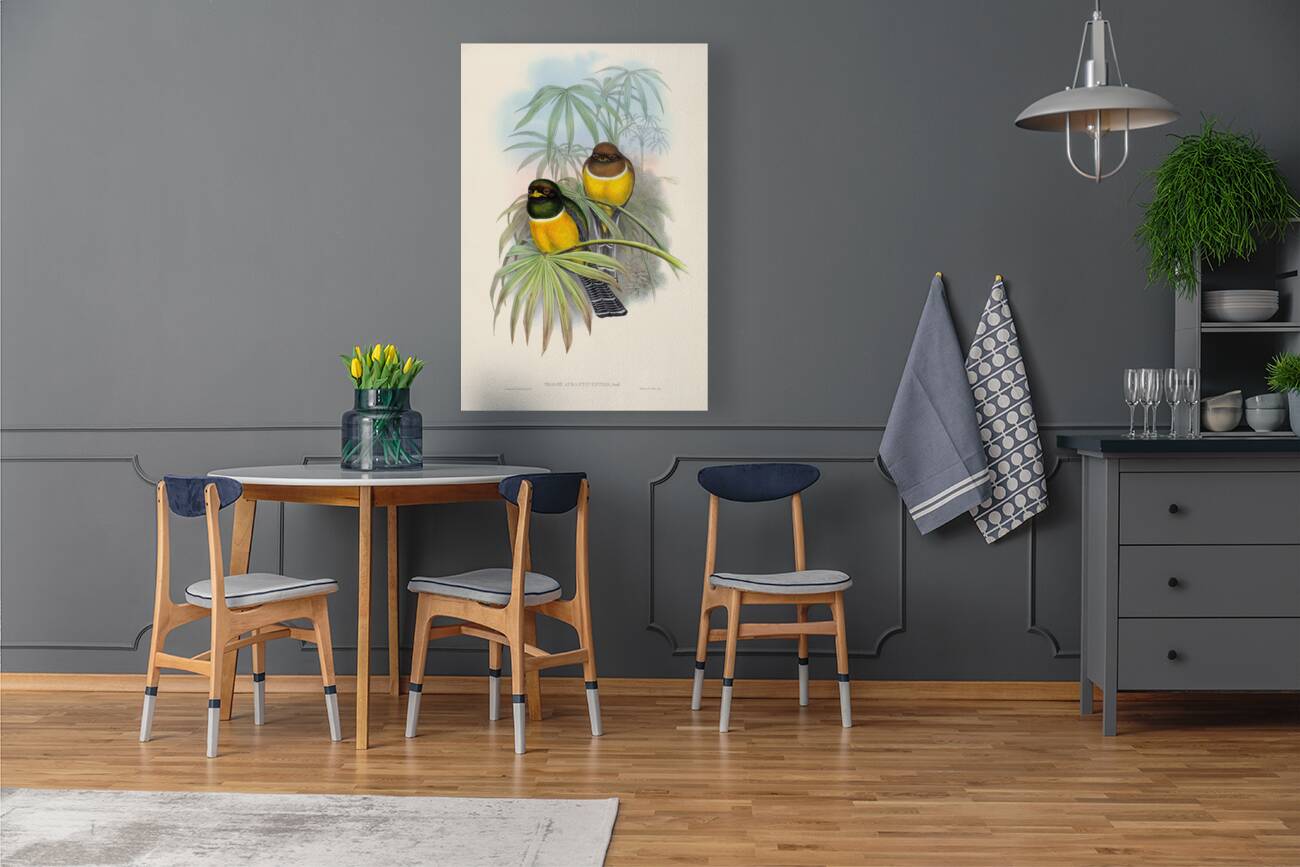 John Gould trogons 006 Reproduction