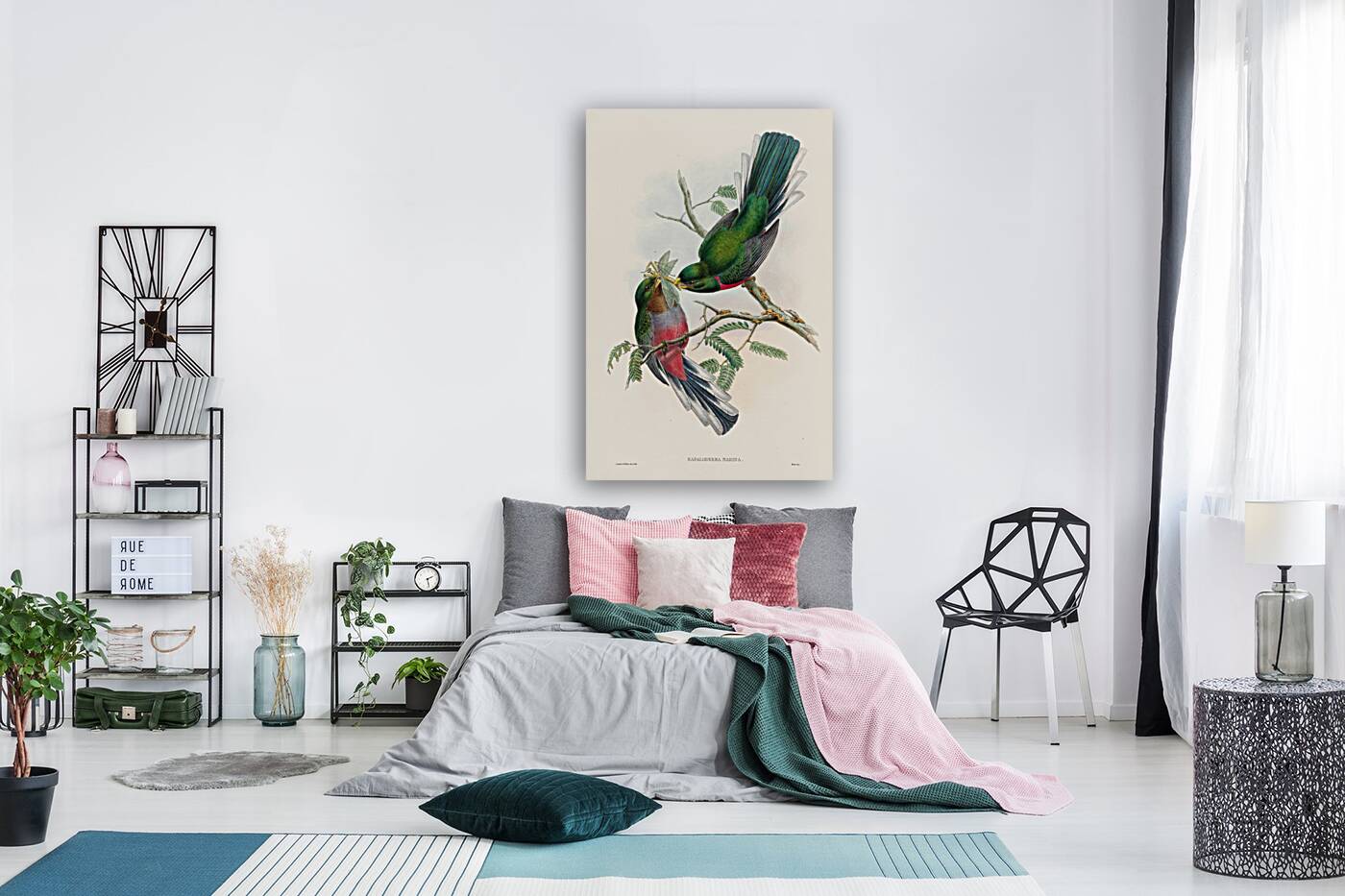 John Gould trogons 036 Reproduction