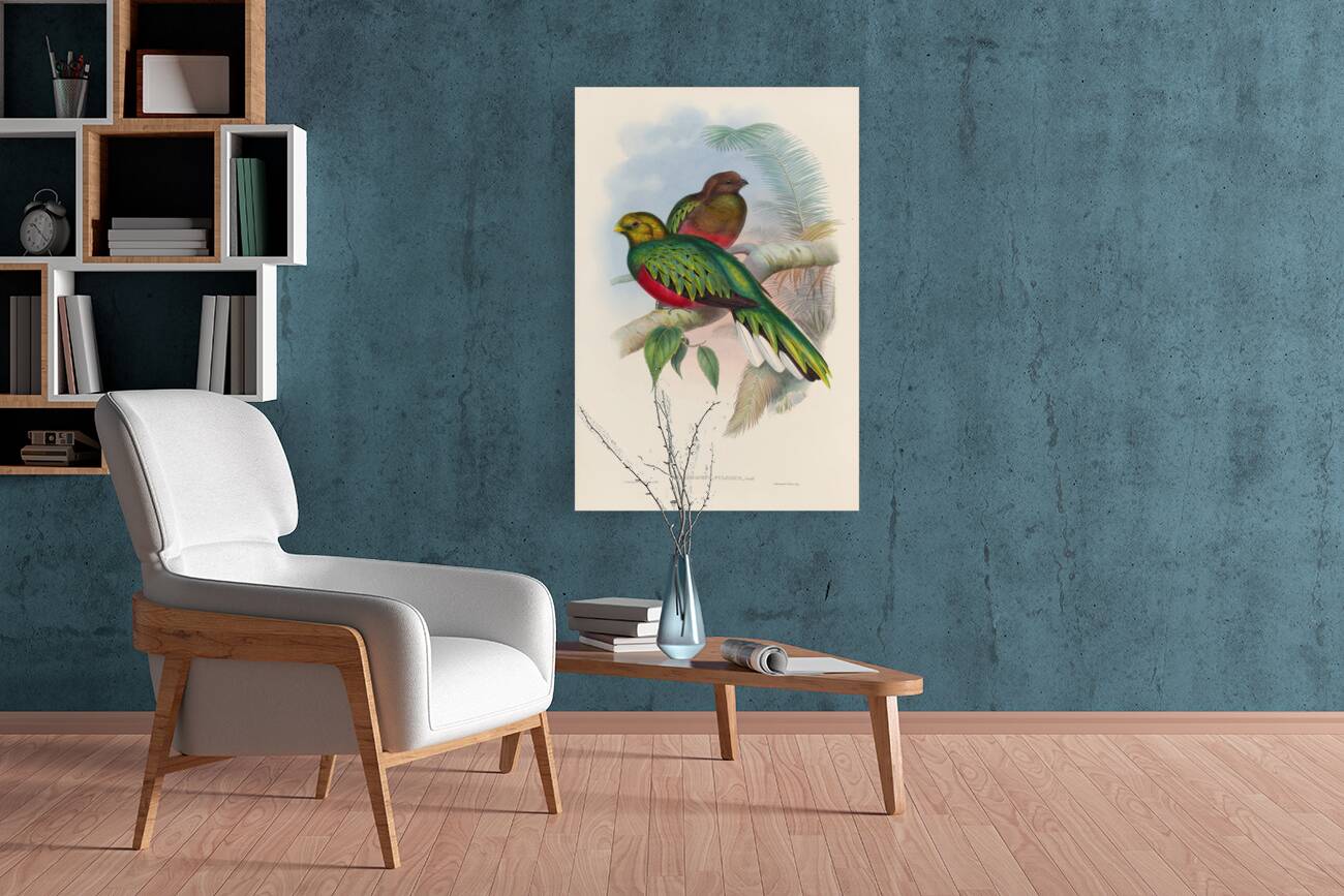 John Gould trogons 002 Reproduction