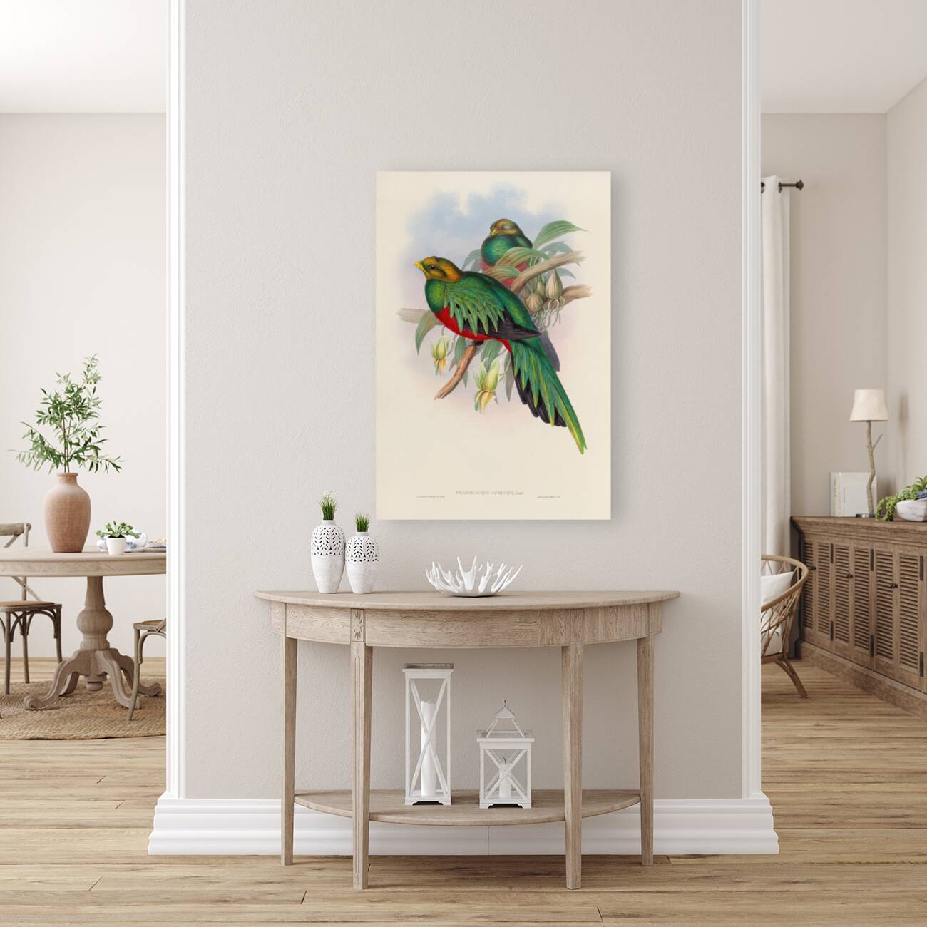 John Gould trogons 003 Reproduction