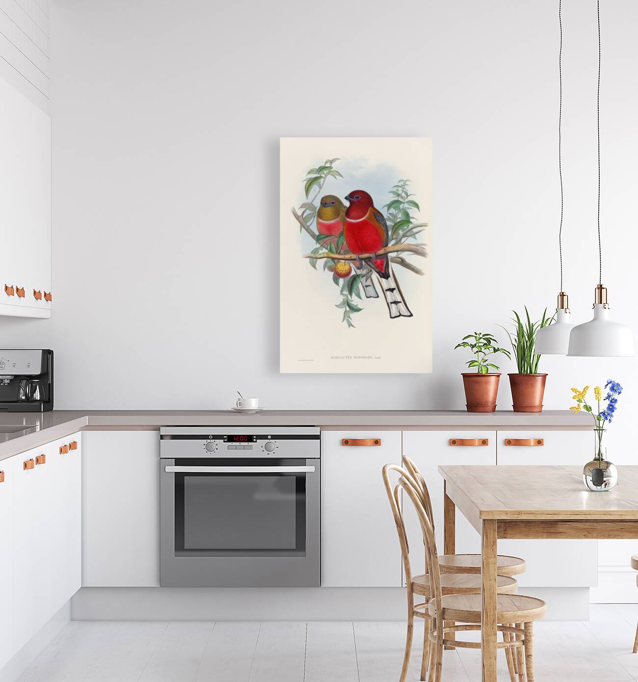 John Gould trogons 021 Reproduction