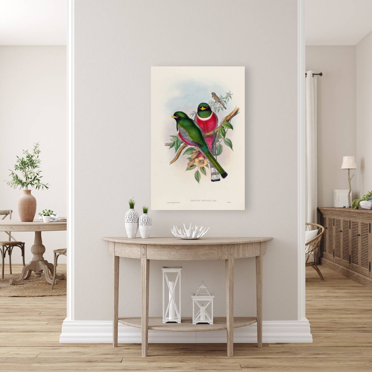 John Gould trogons 016 Reproduction