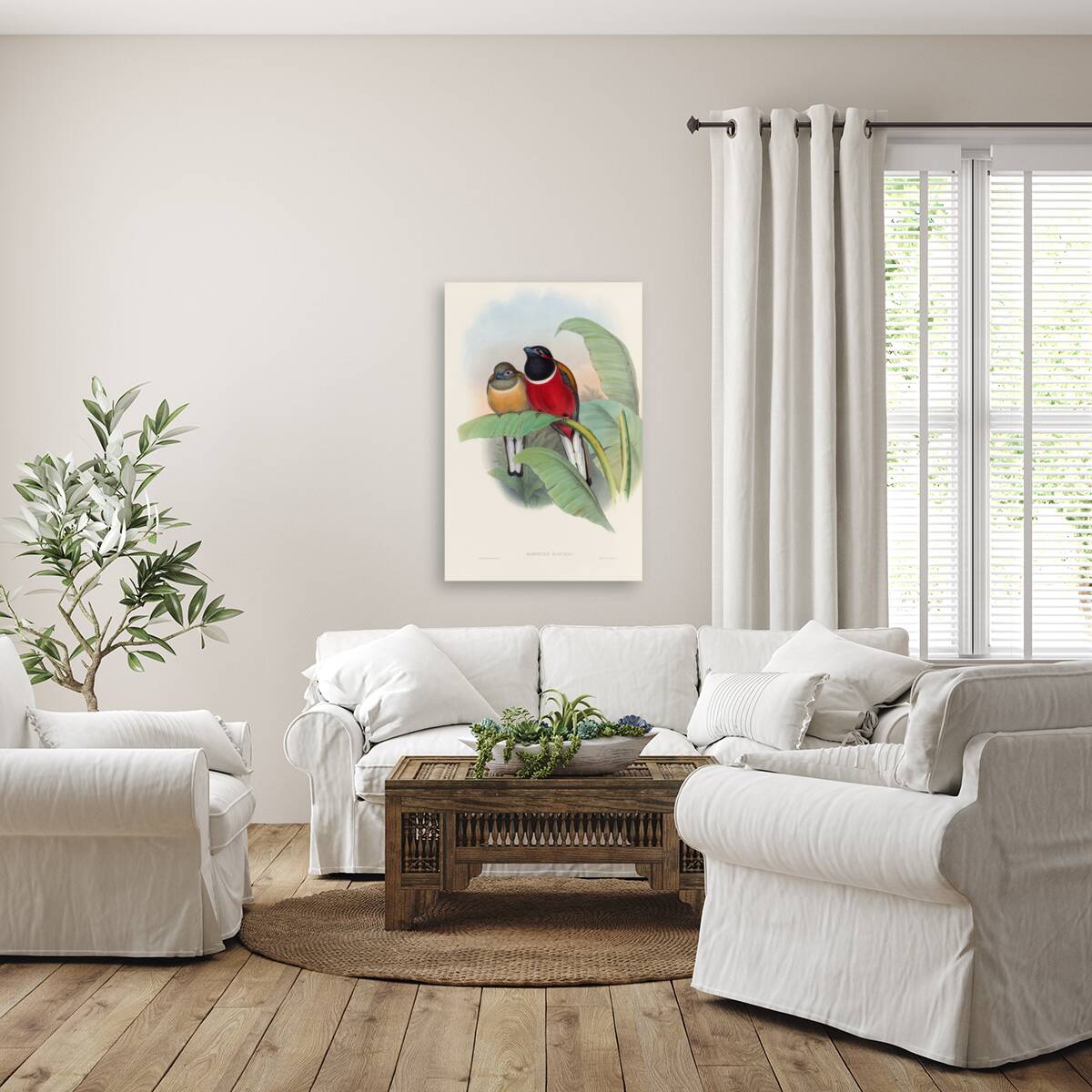 John Gould trogons 023 Reproduction