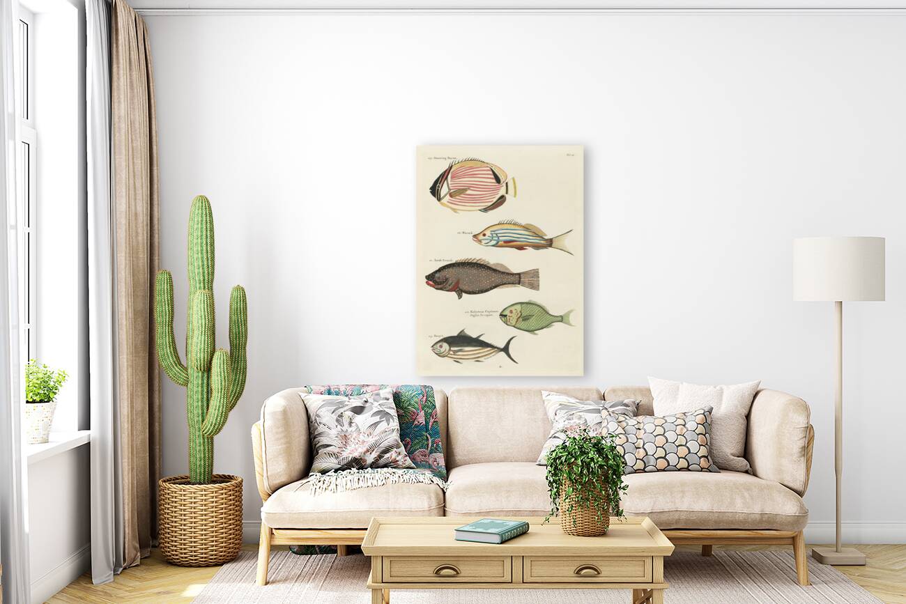 Colourful and surreal illustrations of fishes found in Moluccas Indonesia and the East Indies by Louis Renard 1678 -1746 from Histoire naturelle des plus rares curiositez de la mer des Indes 1754. Reproduction