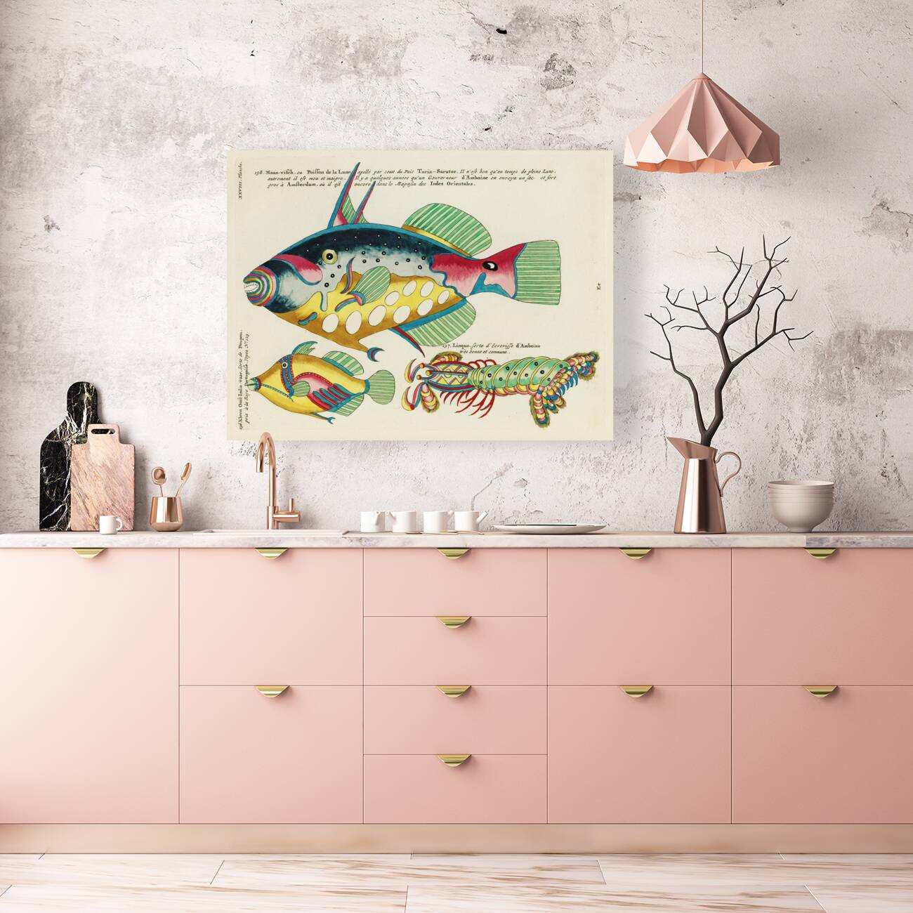 Colourful and surreal illustrations of maribe life found in Moluccas Indonesia and the East Indies by Louis Renard 1678 -1746 from Histoire naturelle des plus rares curiositez de la mer des Indes 1754. Reproduction