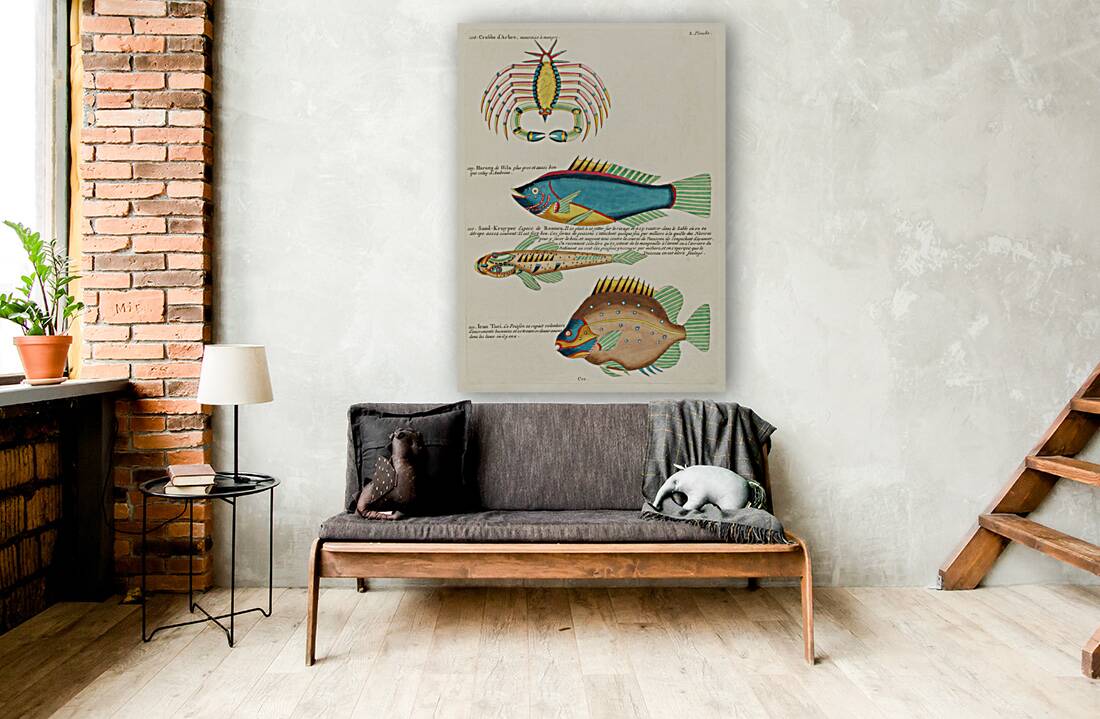 Colourful and surreal illustrations of fishes and crab found in Moluccas Indonesia and the East Indies by Louis Renard 1678 -1746 from Histoire naturelle des plus rares curiositez de la mer des Indes 1754. Reproduction