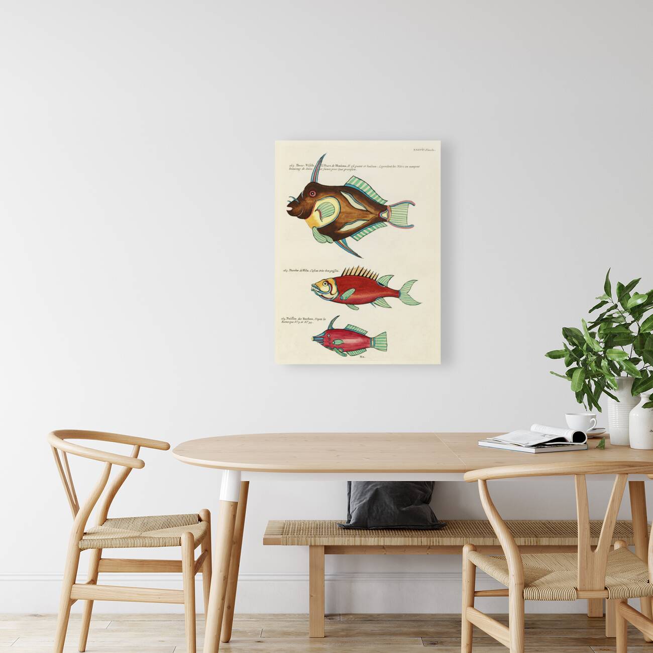 Colourful and surreal illustrations of fishes found in Moluccas Indonesia and the East Indies by Louis Renard 1678 -1746 from Histoire naturelle des plus rares curiositez de la mer des Indes 1754. Reproduction