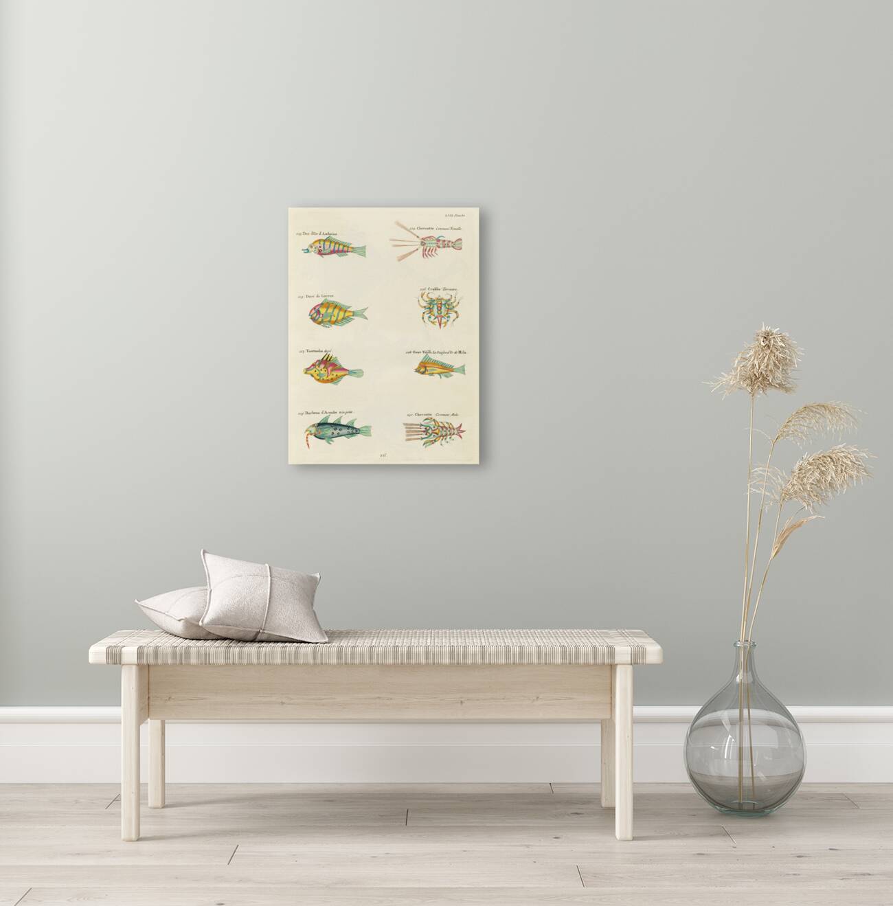 Colourful and surreal illustrations of fishes lobsters and crab found in Moluccas Indonesia and the East Indies by Louis Renard 1678 -1746 from Histoire naturelle des plus rares curiositez de la mer des Indes 1754. Reproduction