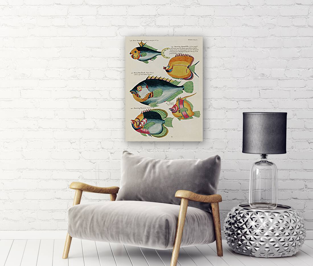 Colourful and surreal illustrations of fishes found in Moluccas Indonesia and the East Indies by Louis Renard 1678 -1746 from Histoire naturelle des plus rares curiositez de la mer des Indes 1754. Reproduction