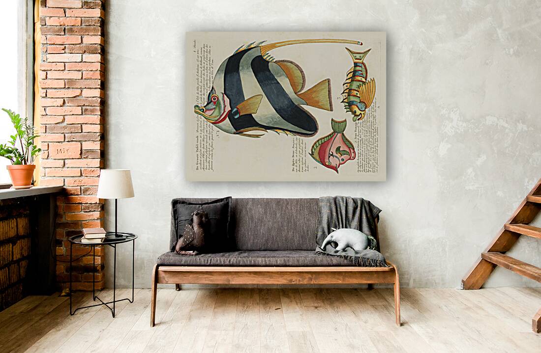 Colourful and surreal illustrations of fishes found in Moluccas Indonesia and the East Indies by Louis Renard 1678 -1746 from Histoire naturelle des plus rares curiositez de la mer des Indes 1754. Reproduction