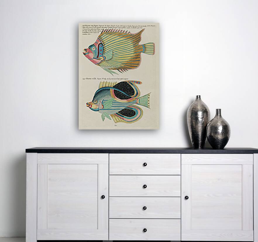 Colourful and surreal illustrations of fishes found in Moluccas Indonesia and the East Indies by Louis Renard 1678 -1746 from Histoire naturelle des plus rares curiositez de la mer des Indes 1754. Reproduction