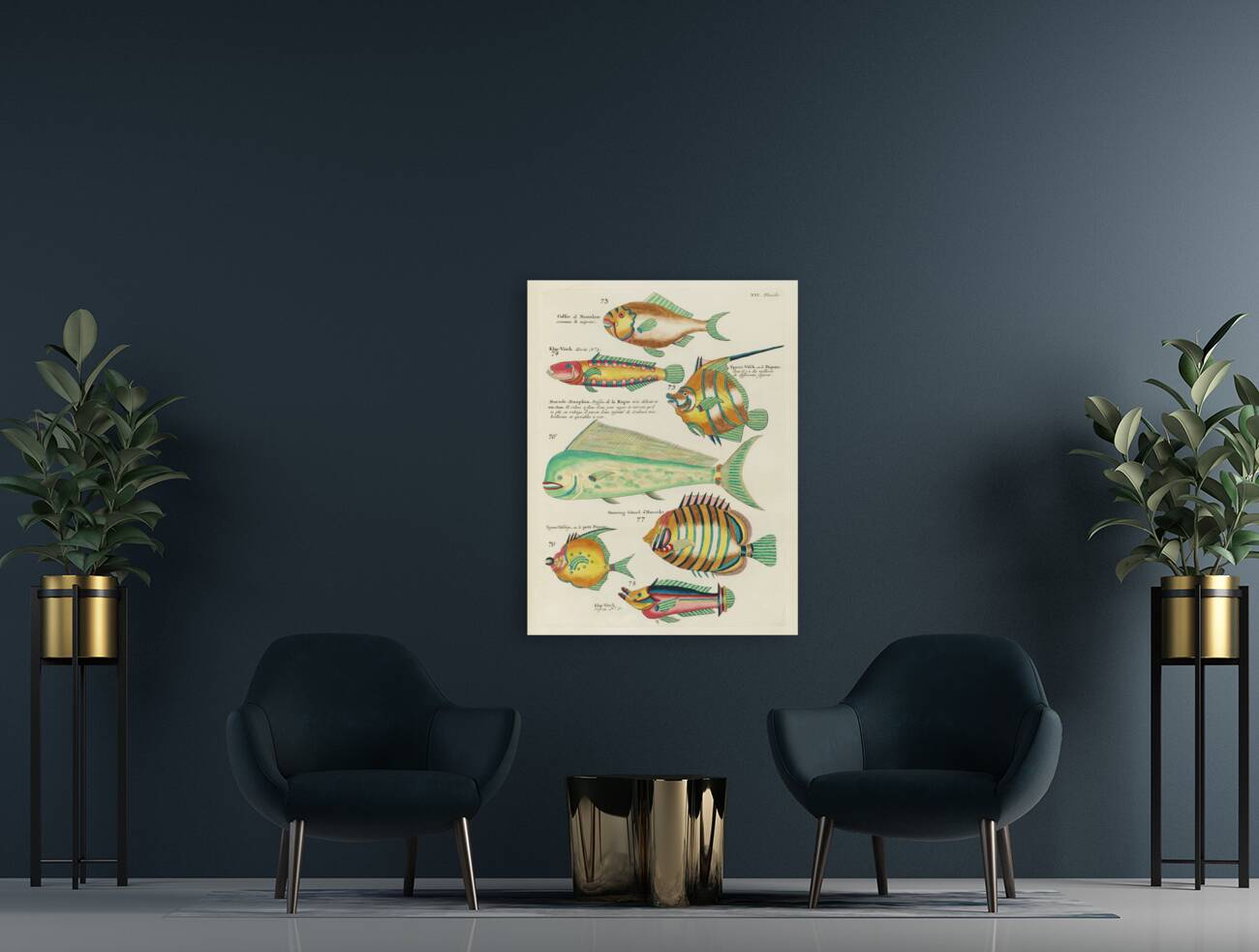 Colourful and surreal illustrations of fishes found in Moluccas Indonesia and the East Indies by Louis Renard 1678 -1746 from Histoire naturelle des plus rares curiositez de la mer des Indes 1754. Reproduction