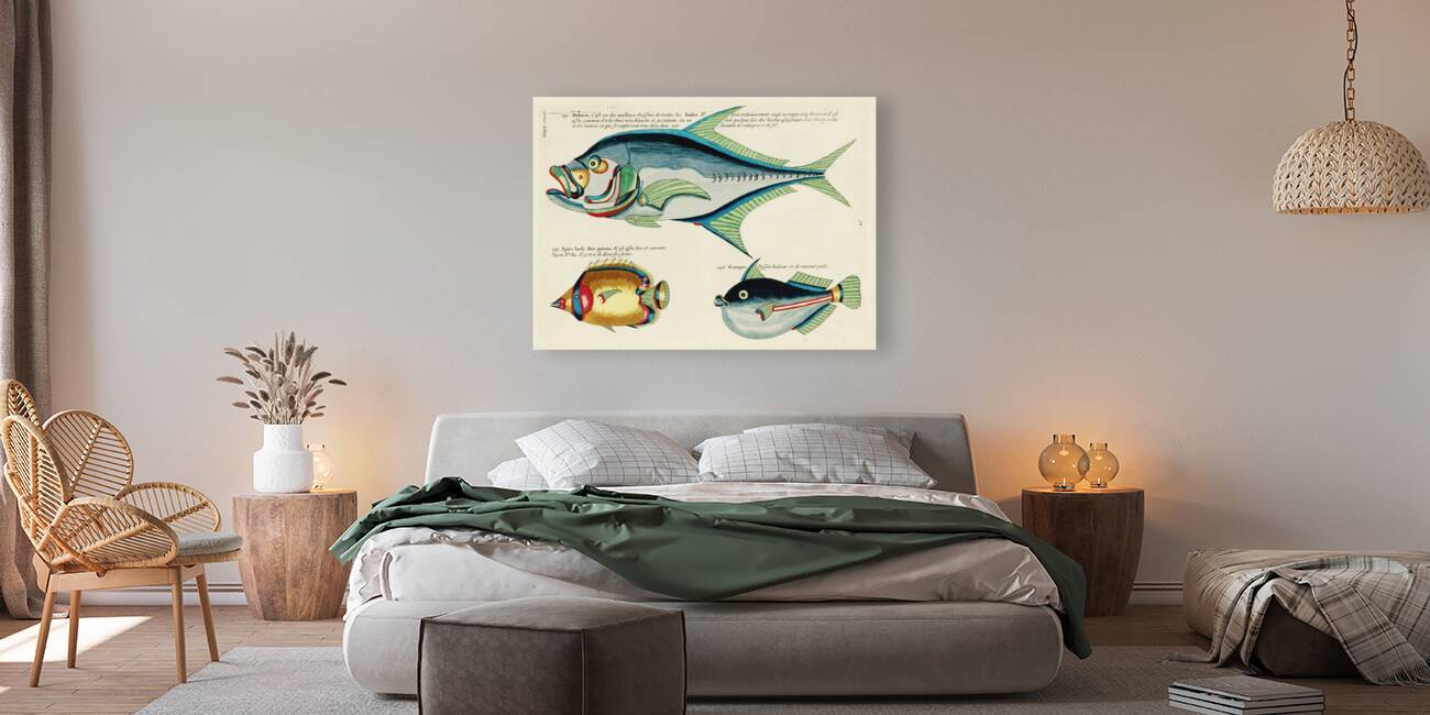 Colourful and surreal illustrations of fishes found in Moluccas Indonesia and the East Indies by Louis Renard 1678 -1746 from Histoire naturelle des plus rares curiositez de la mer des Indes 1754. Reproduction