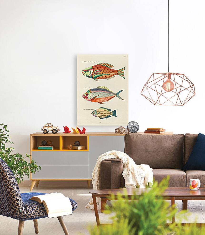 Colourful and surreal illustrations of fishes found in Moluccas Indonesia and the East Indies by Louis Renard 1678 -1746 from Histoire naturelle des plus rares curiositez de la mer des Indes 1754. Reproduction