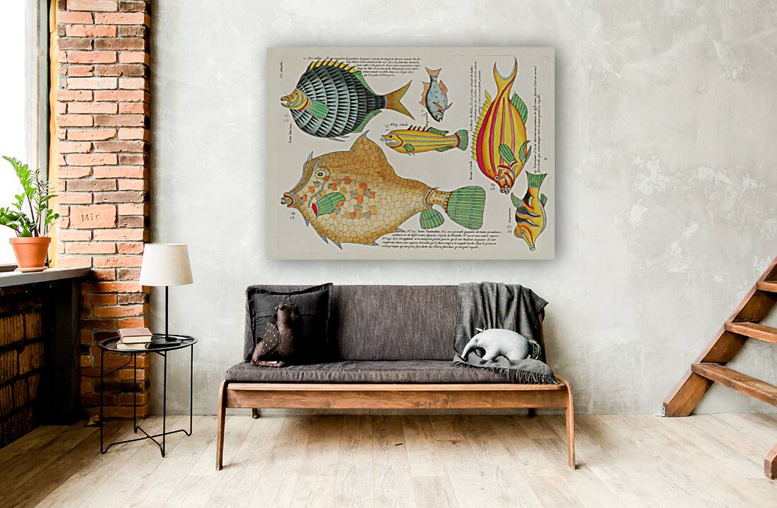 Colourful and surreal illustrations of fishes found in Moluccas Indonesia and the East Indies by Louis Renard 1678 -1746 from Histoire naturelle des plus rares curiositez de la mer des Indes 1754. Reproduction