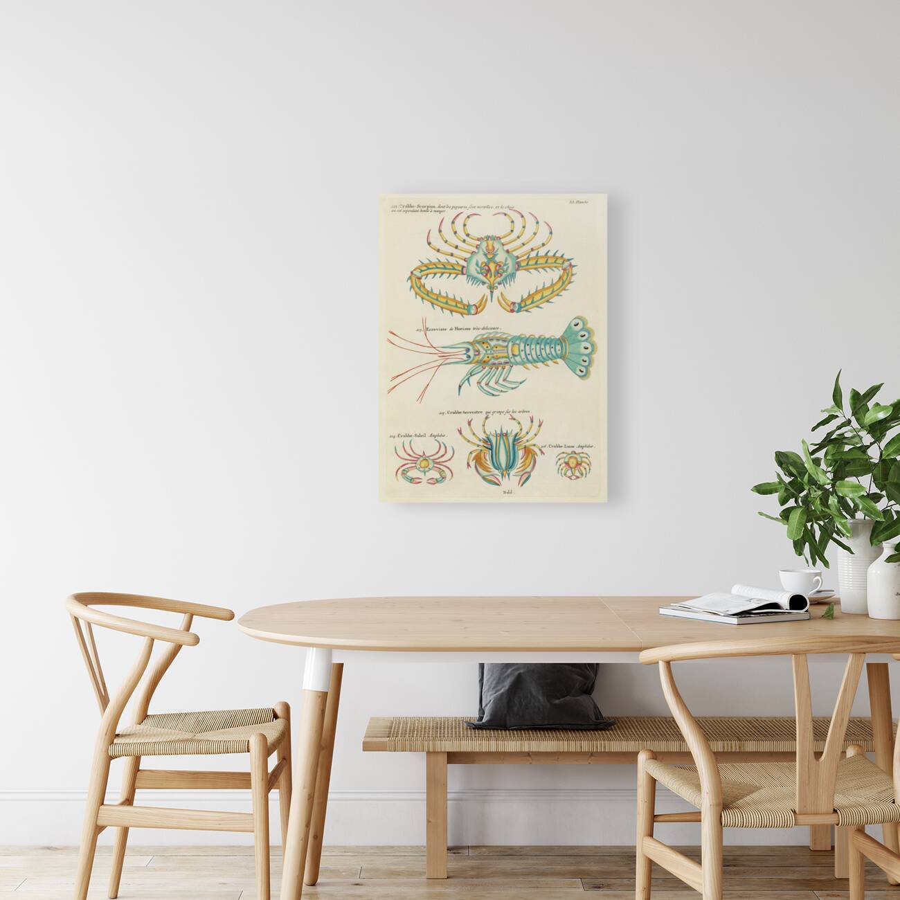 Colourful and surreal illustrations of fishes and  found in the Indian and Pacific Oceans by Louis Renard 1678 -1746 from Histoire naturelle des plus rares curiositez de la mer des Indes 1754. Reproduction